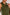 Zip Polo Jumpsuit Evergreen – Low Intensity