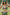 Matcha Green Exhale Sports Bra - High Intensity